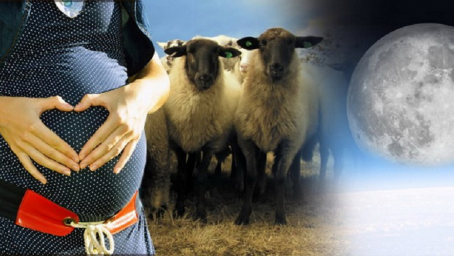 Koliko je opasno lečenje kod vračeva: "Salivanje straha" može ostaviti posledice na zdravlje