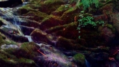 LEKOVITA VODA ZA NEROTKINJE: Mnoge žene zatrudnele nakon kupanja ispod stene, ali sudbina mlade Jevrine opominje