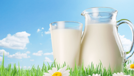 SMANJUJU RIZIK OD DIJABETESA  Naučnici tvrde da ova 2 mlečna proizvoda najbolje regulišu šećer u krvi