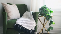 OVA BILJKA NIJE ZA KUĆU Veruje se da uništava porodičnu sreću