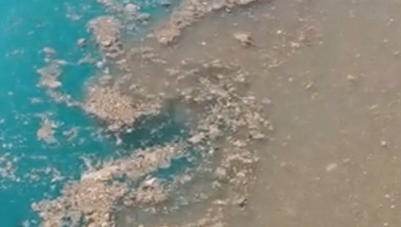 NE GLEDAJTE AKO STE GADLJIVI! Hrvati ispuštaju fekalije u more, cela zemlja u šoku od užasa
