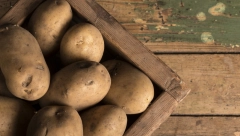 Ne jedite krompir koji je proklijao: Može dovesti do ovih zdravstvenih problema