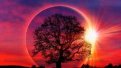 HOROSKOP ZA 12. NOBEMBAR: Uzbudljiv dan čeka horoskopske znakove, pred mnogima su sudbonosne odluke!
