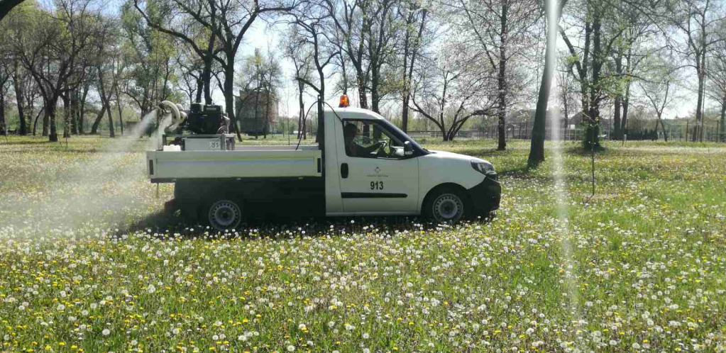 OPREZ! Izbegavajte šetnje posle 19 sati, komarci sa virusom Zapadnog Nila su oko nas