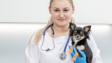 HITNO KOD VETERINARA Kada niste sigurni o čemu se radi, obavezno vodite svog ljubimca kod stručnjaka