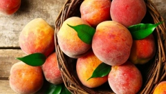 OBAVEZNA HIDRATACIJA OVOG LETA Nutricionistkinja otkriva koje tri  namirnice morate da uzimate i zašto!