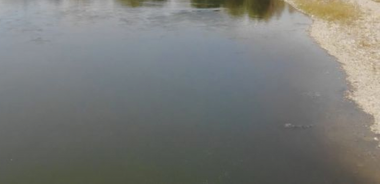 IZVUČENO TELO IZ DRINE KOD CRNE BARE Pre 6 dana čovek (67) je spremio slavu i skočio u reku, danas ga je identifikovao sin