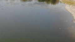 ZA DLAKU IZBEGNUTA TRAGEDIJA Mladić upao u Moravu, vlasnik restorana ga spasao od vrtloga