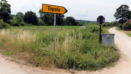 ČUDO U SELU KOD TOPOLE Porodica Andrejević u dvorištu gaji orah kakav nikad niste videli (FOTO)