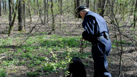 AVGANISTANCI UBILI DEVOJČICU U BEČU Drogirali je, silovali i zadavili