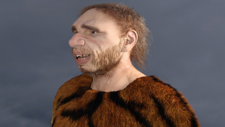 Preskočite neandertalace, novootkriveni "Zmajev čovek" može biti naš najbliži srodnik