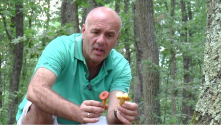 ZARADA I DO 5.000 EVRA DNEVNO Biznis koji cveta u Srbiji, berba je počela, rade ga i stari i mladi, ali postoji caka