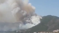 BUKTI POŽAR NA PELOPONEZU Evakuisani meštani četiri sela, mobilisano 95 vatrogasaca