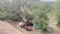 NEVREME OPUSTOŠILO VOĆNJAKE U ČAČKU: Teško je kad gledaš kako sav tvoj trud nestaje za 20 minuta (FOTO/VIDEO)