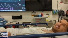 BEOGRAĐANINA NEMANJU U KALIFORNIJI NAPALA BELA AJKULA Video sam njene crne oči, ronilačko odelo bilo je puno krvi, a onda sam počeo da je šutiram