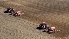 BRUTALNA ZARADA Ako zasadite ovo povrće možete da se obogatite, ima ga sve više u Srbiji!