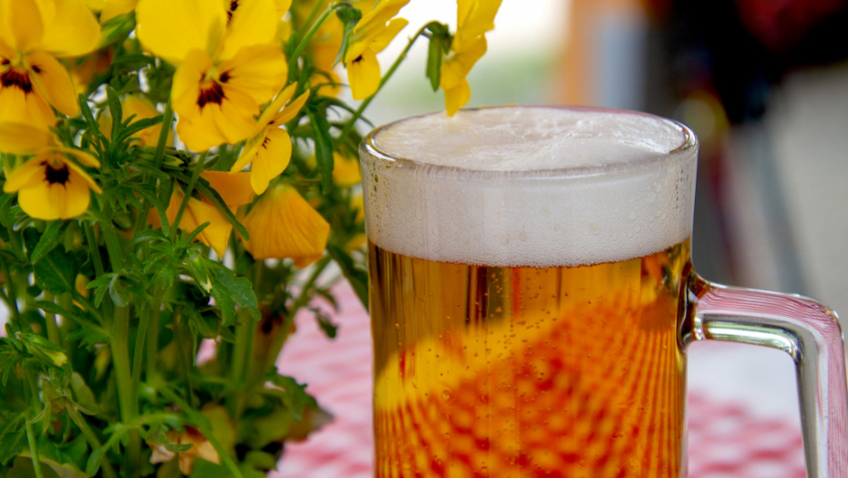 VIC DANA Muškarac ulazi u bar i naručuje pivo, a ono košta 20 para...