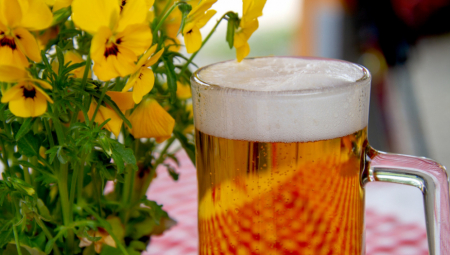 VIC DANA Muškarac ulazi u bar i naručuje pivo, a ono košta 20 para...