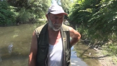 HOROR KOD POŽEGE Na stotine mrtvih riba, najviše mrena i klenova (VIDEO)