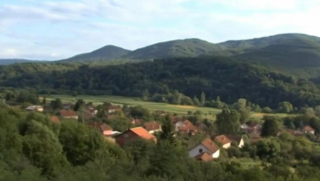 SVETOMIR GOLIM RUKAMA ZADAVIO VUKA Iako je iskasapljen od borbe sa predatorom, molio lekare da ga puste