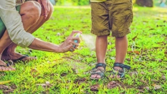 SRPSKE DOMAĆICE GA STAVLJAJU U ČORBU: Ovaj začin je najefikasnije sredstvo protiv komaraca, provereno radi