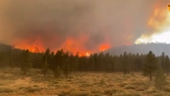 OPŠTA EVAKUACIJA U AMERICI Gori 12 država, uništo stotine hiljada hekatara!