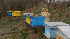 OSMOGODIŠNJAK POSTAO PČELAR  Đorđe inicijator porodičnog posla