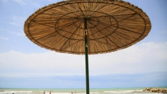 BUS SA SRBIMA IZ TURSKE NIJE KRENUO ZBOG NESTALIH PEŠKIRA Namontirane gospođe su samo krenule da izlaze... pukla srpska bruka