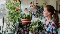 ŽELITE DA PRIVUČETE LJUBAV? Mnogi tvrde da ove tri biljke imaju magičnu moć i da su idealne za privlačenje srodne duše!