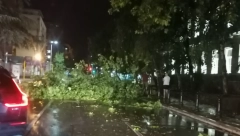 ŽESTOKO NEVREME POGODILO SRBIJU Kiša poplavila sve, RHMZ objavio upozorenje za NAREDNA TRI DANA (VIDEO)