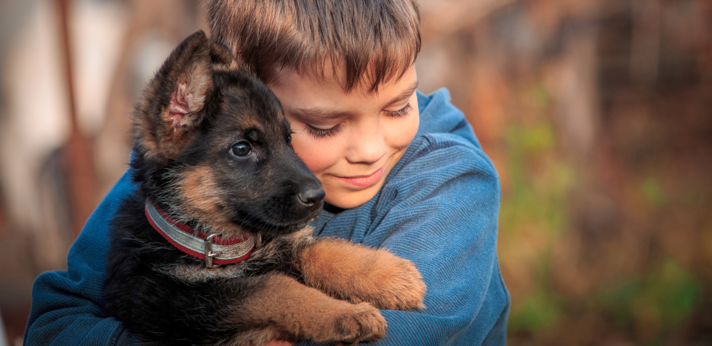 OVE SIGNALE NE SMETE IGNORISATI: Evo šta znači kad pas na vas polože šapu