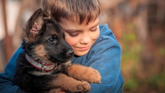 OVE SIGNALE NE SMETE IGNORISATI: Evo šta znači kad pas na vas polože šapu