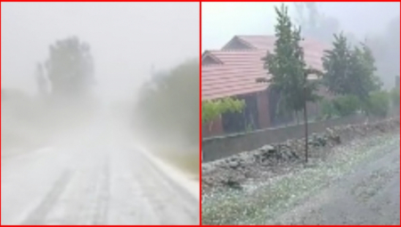 NEVREME UDARILO NA VLADIČIN HAN Pao grad veličine jajeta, oboreno drveće, zaustavljen saobraćaj, nestalo struje (VIDEO)