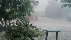 Nevreme zahvatilo Slavoniju: Snažan vetar rušio stabla