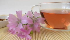 NAJJAČI PRIRODNI ANTISEPTIK:  Ova magična biljka leči bronhitis, kašalj, gastritis, upalu želudca i bešike