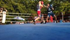 NOKAUT ZA KRAJ! Gojko Knežević završio profesionalnu karijeru!