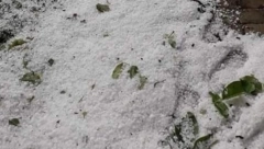 GRAD OPUSTOŠIO OPŠTINU BLACE! Stradalo preko 3.900 hektara useva, stabla ostala bez listova, ŠTETA je dugogodišnja!