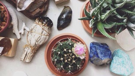 STAVITE GA U DŽEP ILI NOVČANIK Štiti od nesreće i zla, a donosi sreću i spokoj