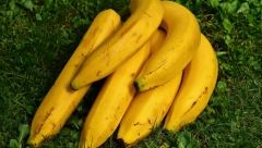 I ona može da se iskoristi: Kora od banane u službi lepote ili kao sredstvo za čišćenje