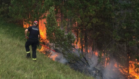 USIJANA SRBIJA Vatrogasci se bore sa vatrenom stihijom oko Užica, na Tari i Zlatiboru