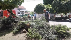 ŽESTOKO NEVREME PROTUTNJALO HRVATSKOM: Leteli krovovi i drveće - ljudi ostali bez struje (VIDEO)