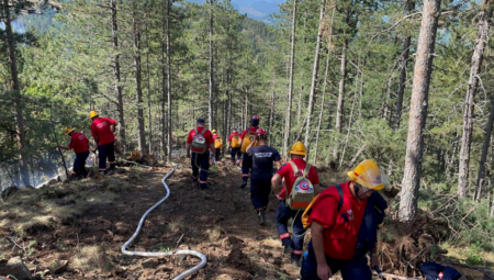 LOKALIZOVAN POŽAR NA MOKROJ GORI 132 vatrogasaca ostaje da dežura