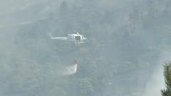 OVO SU HEROJI KOJI SU SPASILI MOKRU GORU Hrabri vatrogasci borili su se sa vatrenom stihijom više od 12 časova, izgorelo je 100 hektara šume!