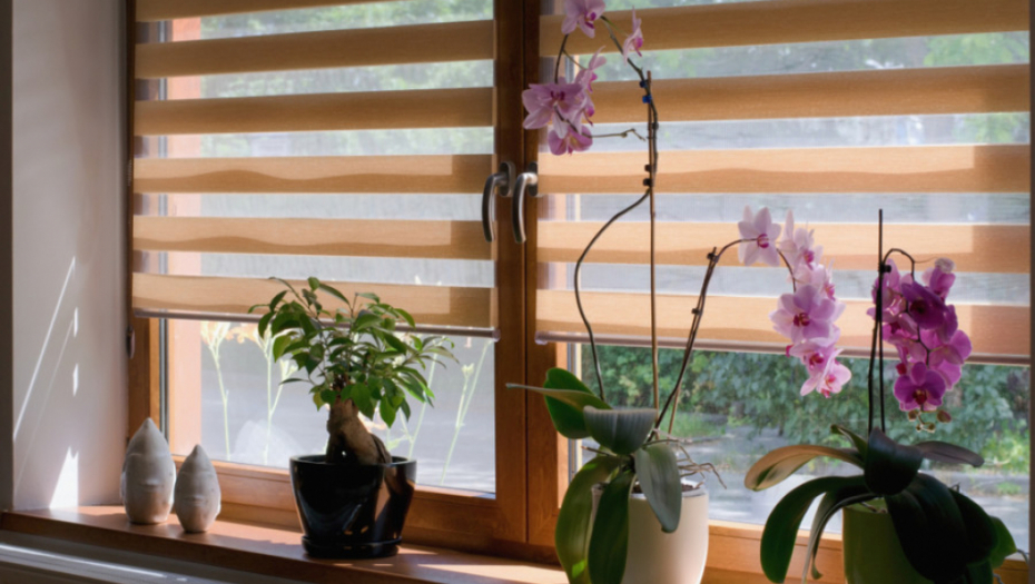 AKO VAS JE SREĆA NAPUSTILA Sačekajte mlad Mesec i uradite jednu stvar, sve će doći na svoje