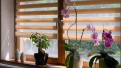 AKO VAS JE SREĆA NAPUSTILA Sačekajte mlad Mesec i uradite jednu stvar, sve će doći na svoje