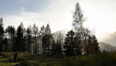 POGLEDAJTE KAKO JE OVA ZVER UKRALA BOMBONE IZ AUTOMOBILA Spretno kao čovek otvorio vrata kamiona i ušao u kabinu (VIDEO)