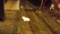 ŠTA SE DEŠAVA? Snimio noge bez tela kako trče niz ulicu (VIDEO)