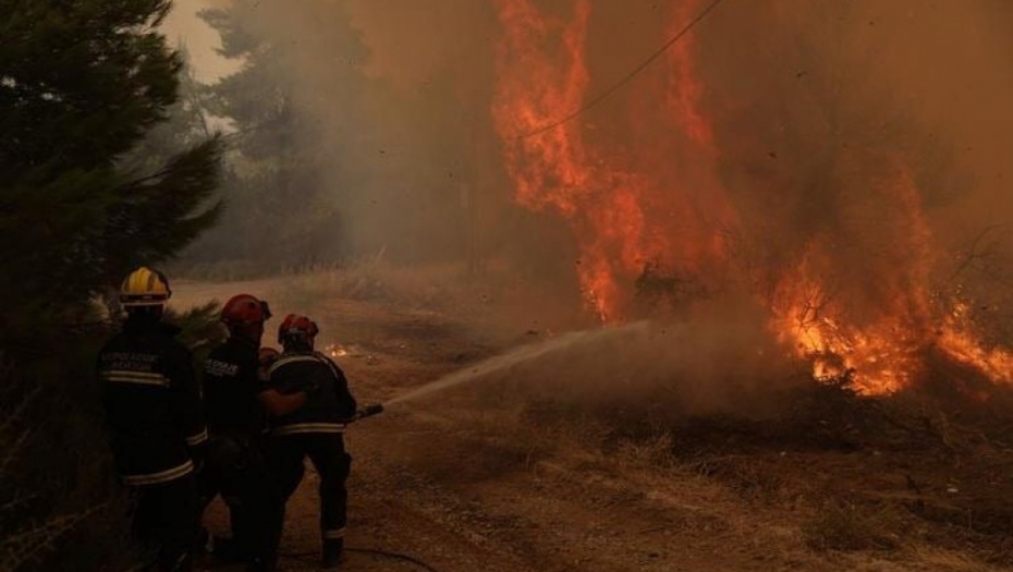 POŽAR U SPLITU Pet vatrogasnih vozila na licu mesta na brdu Marjan
