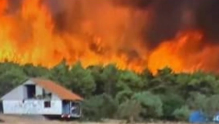 GORELO PA JE SADA I NJEMU DOGORELO Uhapšen piroman iz Bora zbog požara koji je izazvao