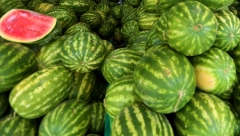 OVAKO SE PRONALAZE SLATKE I ZRELE LUBENICE Zapamtite ovaj genijalan trik, nikada više nećete pogrešiti!